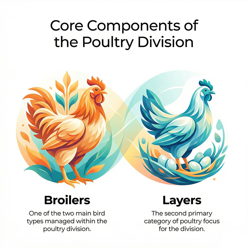Poultry farm