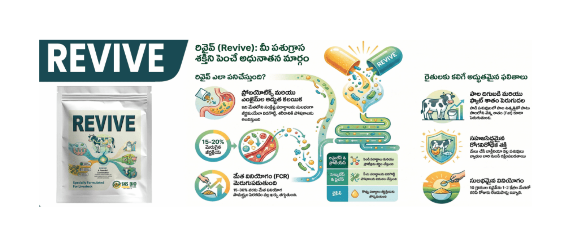 Veterinary 2