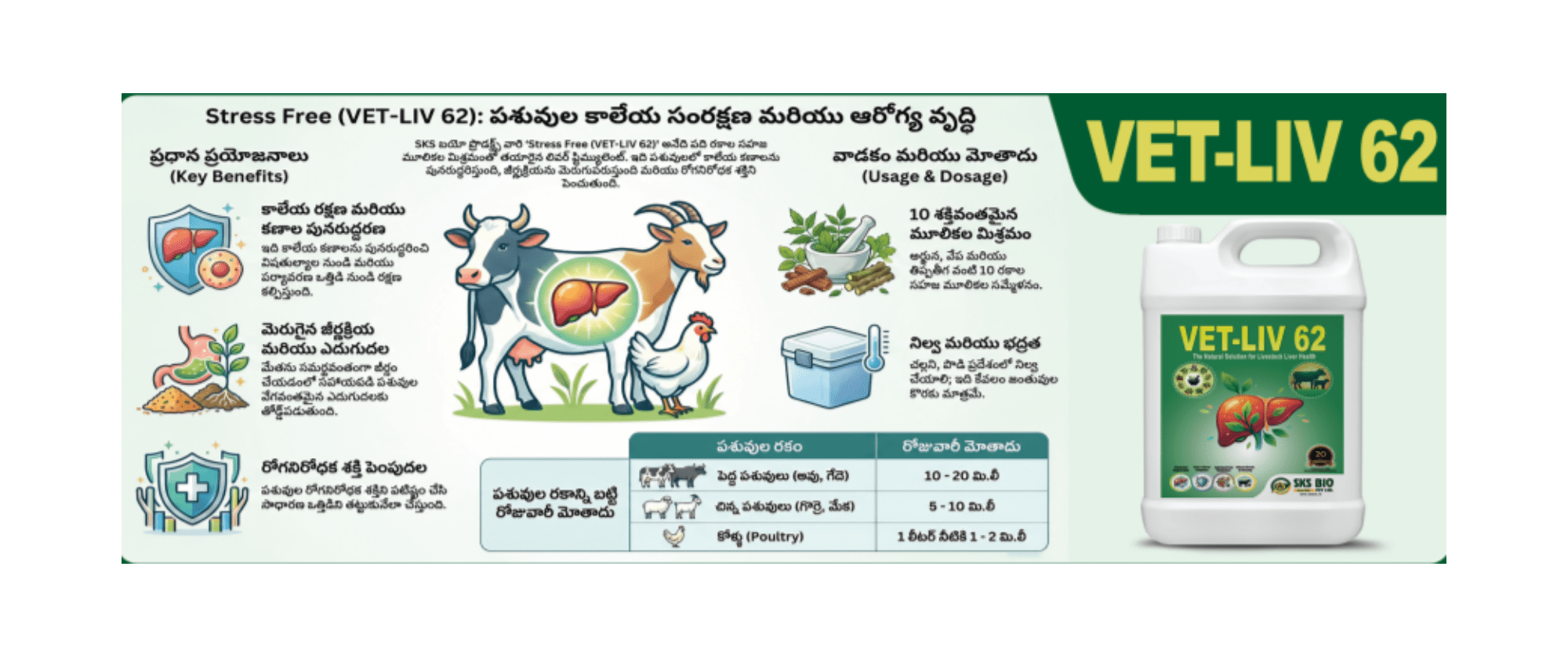Veterinary 4