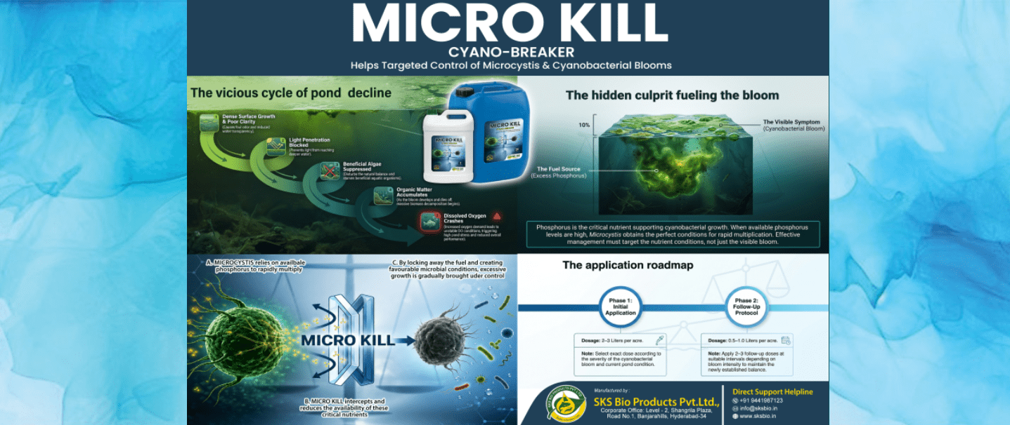 Aquaculture 16